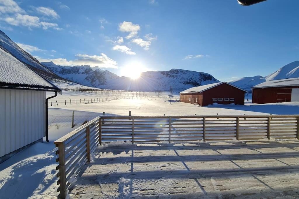 Arctic Lodge Tromvik With Jacuzzi Tromsø Kültér fotó